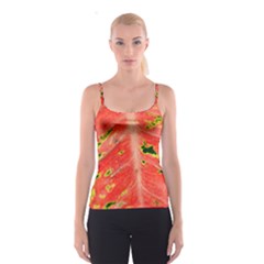 Aglonema Leaf Plant Pattern Flora Spaghetti Strap Top by danenraven