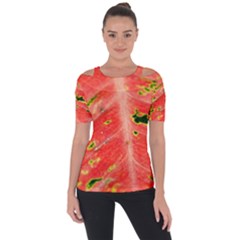 Aglonema Leaf Plant Pattern Flora Shoulder Cut Out Short Sleeve Top by danenraven