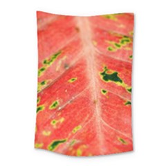 Aglonema Leaf Plant Pattern Flora Small Tapestry