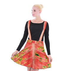 Aglonema Leaf Plant Pattern Flora Suspender Skater Skirt by danenraven