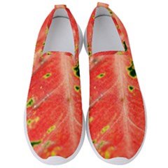 Aglonema Leaf Plant Pattern Flora Men s Slip On Sneakers by danenraven