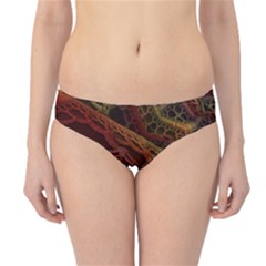 Fractal Pattern Geometric Pattern Hipster Bikini Bottoms by danenraven