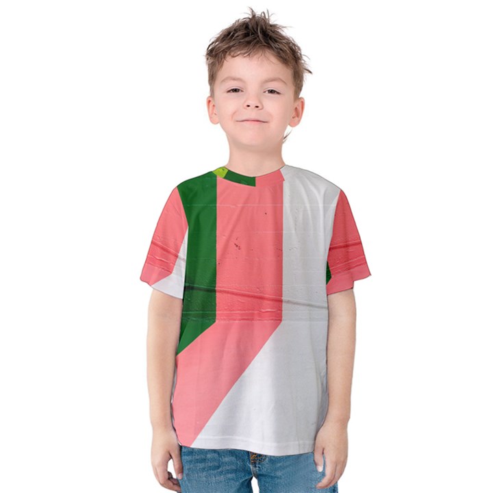 Green Pink Interior Paint Kids  Cotton Tee