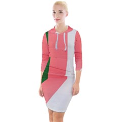 Green Pink Interior Paint Quarter Sleeve Hood Bodycon Dress by artworkshop