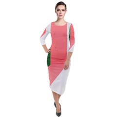 Green Pink Interior Paint Quarter Sleeve Midi Velour Bodycon Dress by artworkshop