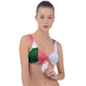 Green Pink Interior Paint Front Tie Bikini Top View1