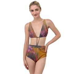 Pollock Tied Up Two Piece Swimsuit by artworkshop