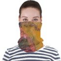 Pollock Face Seamless Bandana (Adult) View1