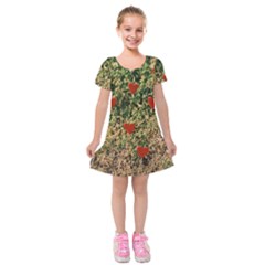 Valentine Day Heart Forest Kids  Short Sleeve Velvet Dress by artworkshop