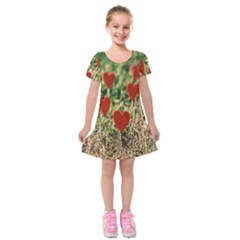 Valentine Day Heart Pattern Love Kids  Short Sleeve Velvet Dress by artworkshop