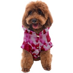 Valentine Day Heart Symbol Capsule Dog Coat by artworkshop