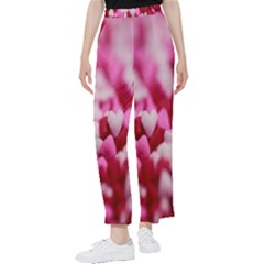 Valentine Day Heart Symbol Capsule Women s Pants  by artworkshop