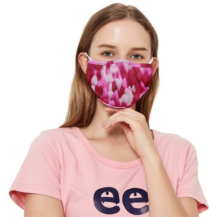 Valentine Day Heart Symbol Capsule Fitted Cloth Face Mask (Adult)