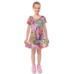 Outback Beauty  Kids  Short Sleeve Velvet Dress