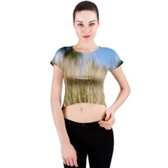 Close-up Ladang Whey Crew Neck Crop Top by artworkshop