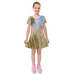 Close-up Ladang Whey Kids  Short Sleeve Velvet Dress by artworkshop