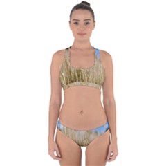 Close-up Ladang Whey Cross Back Hipster Bikini Set by artworkshop