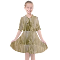 Close-up Ladang Whey Kids  All Frills Chiffon Dress by artworkshop