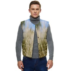 Close-up Ladang Whey Men s Short Button Up Puffer Vest	 by artworkshop