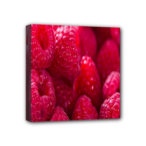 Raspberries Mini Canvas 4  X 4  (stretched) by artworkshop