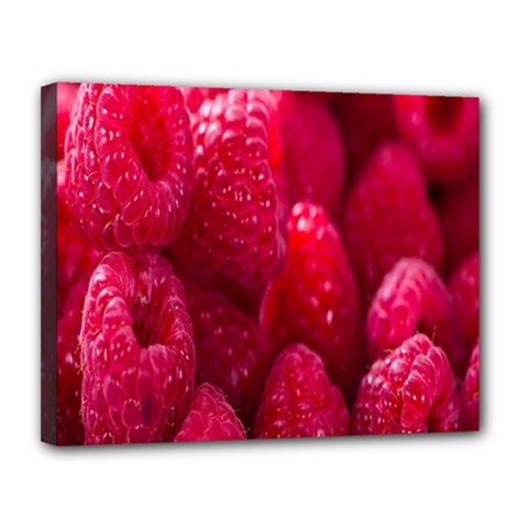 Raspberries Canvas 14  X 11  (stretched) by artworkshop