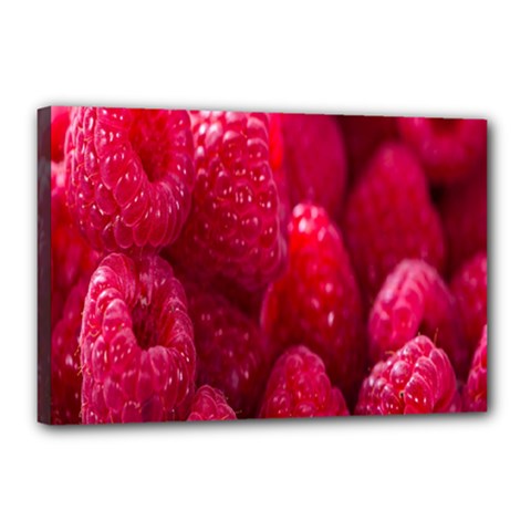 Raspberries Canvas 18  X 12  (stretched) by artworkshop