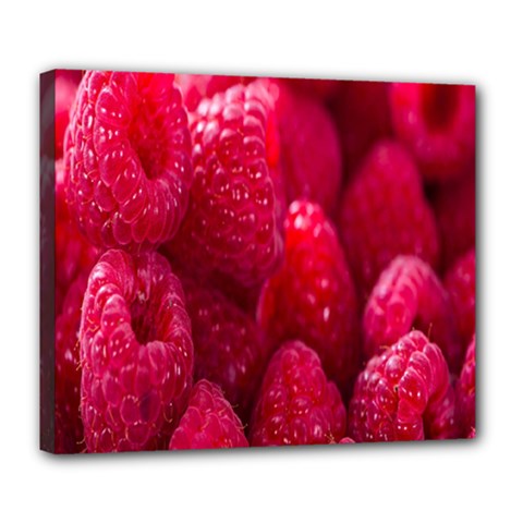 Raspberries Deluxe Canvas 24  X 20  (stretched) by artworkshop