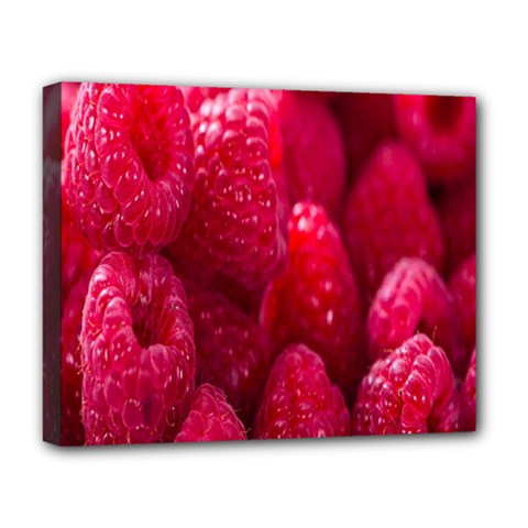 Raspberries Deluxe Canvas 20  X 16  (stretched) by artworkshop