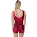 Raspberries One Piece Boyleg Swimsuit View2