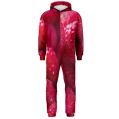 Raspberries Hooded Jumpsuit (men) by artworkshop