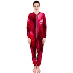 Raspberries Onepiece Jumpsuit (ladies) by artworkshop