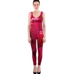 Raspberries One Piece Catsuit by artworkshop