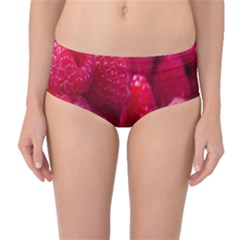 Raspberries Mid-waist Bikini Bottoms by artworkshop