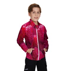 Raspberries Kids  Windbreaker by artworkshop