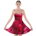 Raspberries Strapless Bra Top Dress View1