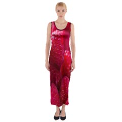 Raspberries Fitted Maxi Dress by artworkshop