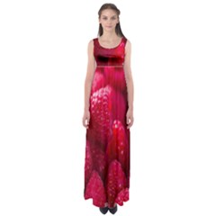 Raspberries Empire Waist Maxi Dress by artworkshop