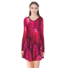 Raspberries Long Sleeve V-neck Flare Dress by artworkshop