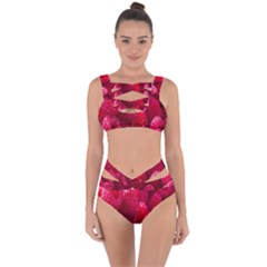 Raspberries Bandaged Up Bikini Set  by artworkshop