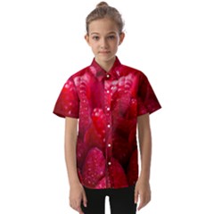 Raspberries Kids  Short Sleeve Shirt by artworkshop