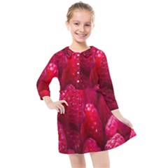 Raspberries Kids  Quarter Sleeve Shirt Dress by artworkshop