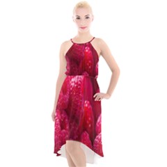 Raspberries High-low Halter Chiffon Dress  by artworkshop