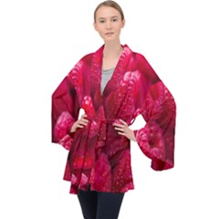 Raspberries Long Sleeve Velvet Kimono  by artworkshop