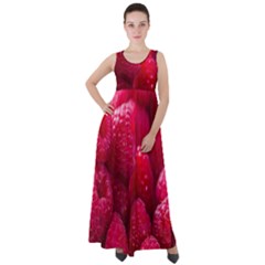 Raspberries Empire Waist Velour Maxi Dress by artworkshop