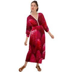 Raspberries Grecian Style  Maxi Dress by artworkshop