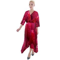 Raspberries Quarter Sleeve Wrap Front Maxi Dress by artworkshop