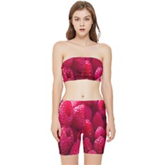 Raspberries Stretch Shorts And Tube Top Set by artworkshop