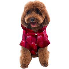 Raspberries Dog Coat by artworkshop