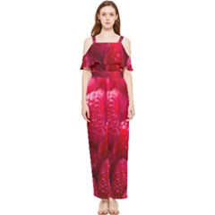 Raspberries Draped Sleeveless Chiffon Jumpsuit by artworkshop