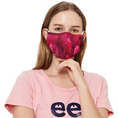 Raspberries Fitted Cloth Face Mask (adult) by artworkshop